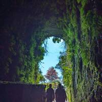 Wandelen op Madeira: foto van de reiziger #1