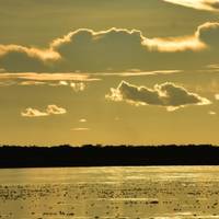 Kreuzfahrt auf dem Amazonas XL Reise-Foto #1