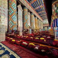 Glimpses of Nepal and Tibet Tour 14 Days traveler photo #3