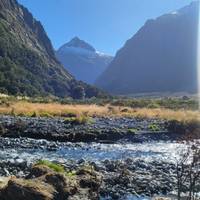 Großer Süden Reise-Foto #1