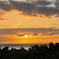 Grand Hawaiian Adventure Four Islands featuring O