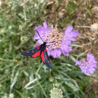 Photo de voyageur Circuit de randonnée semi-privé ; Theth, Valbona et le lac Koman en 3 jours #1