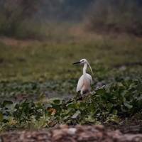 Nepal Panorama-Rundreise Reise-Foto #3