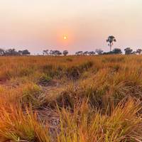 12-day Etosha & Okavango Delta Express (Camping) traveler photo #2