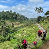 Bali & Lombok Adventure traveler photo #3