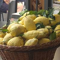 Local Living Italy—Sorrento traveler photo #2