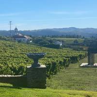 Excursión autoguiada a pie por la región vinícola del Duero: foto del viajero #3