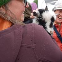 5 Daagse Zuidkust Experience Tour - Tour met kleine groep: foto van de reiziger #3