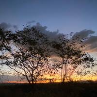 Photo de voyageur Tarangire, le Ngorongoro et le Manyara - Safari de 3 jours au départ de Moshi #1