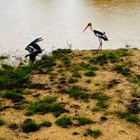 Grand Tour Sri Lanka traveler photo #1