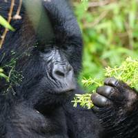 Photo de voyageur 3 jours d