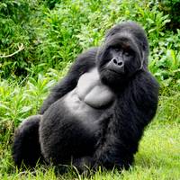 Photo de voyageur 3 jours d