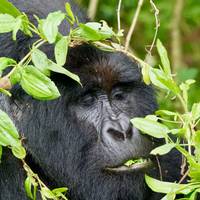 Photo de voyageur 3 jours d