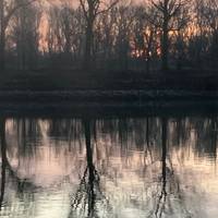 Año Nuevo en Holanda y el romántico Rin - crucero puerto a puerto: foto del viajero #2