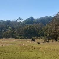 Photo de voyageur Le meilleur du Kerala #1