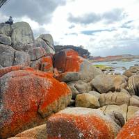 Entdeckungsreisesreise Six - Rundreise durch Tasmanien (6 Tage) Reise-Foto #3