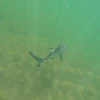 Galapagos Outdoor 9 Tage Reise-Foto #2