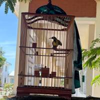 Saigon to Hoian Bike Tour- E bike traveler photo #2