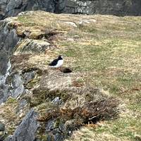 Neufundland Abenteuer: Richtung Osten Reise-Foto #2