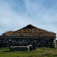 Escandinavia escénica y sus fiordos: foto del viajero #3