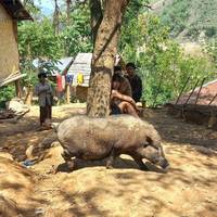 Riviercruise over de Mekong – van Chiang Mai naar Luang Prabang – via Huay Xai, Pakbeng: foto van de reiziger #3