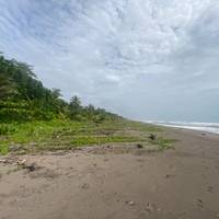 The Best of Costa Rica traveler photo #3