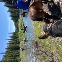 Sitios emblemáticos de las Rocosas del Oeste de Canadá: Viaje de 8 días: foto del viajero #2