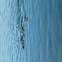 Van Perth naar Broome over land: foto van de reiziger #3