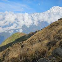 Annapurna Basecamp trek: foto van de reiziger #2