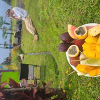 Big Island, Hawaï - milieubehoud, cultuurbehoud & snorkelen: foto van de reiziger #1