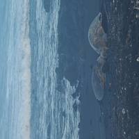Big Island, Hawaï - milieubehoud, cultuurbehoud & snorkelen: foto van de reiziger #2