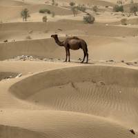 Zentralasien inkl. Seidenstraße Rundreise Reise-Foto #3