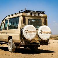 Photo de voyageur Safari animalier de 10 jours et excursions à la plage de Zanzibar #1