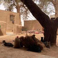 Marrakesch & Sahara-Wüste 3 Tage Reise-Foto #2