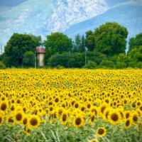 Photo de voyageur Privé - Grand cercle des Balkans 22 jours #2