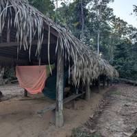 Manaus Amazone Jungle Avontuur 5D/4N: foto van de reiziger #3