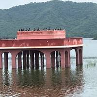Viaje al Triángulo de Oro con Castillos Reales y Safari con Tigred: foto del viajero #3