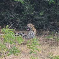 Sri Lanka jenseits der Spur Reise-Foto #1