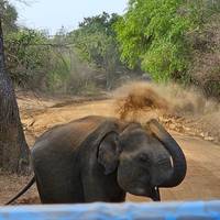 Sri Lanka jenseits der Spur Reise-Foto #2