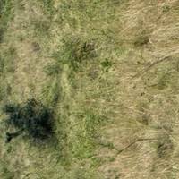 Photo de voyageur Kenya Prime Safari #1