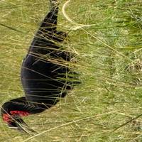 Photo de voyageur Kenya Prime Safari #2