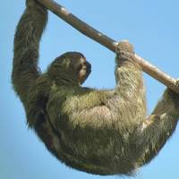 Viajes: Descubre Costa Rica Viajes de National Geographic: foto del viajero #2