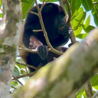 Viajes: Descubre Costa Rica Viajes de National Geographic: foto del viajero #3