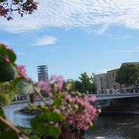 Unverzichtbar Japan Reise-Foto #1