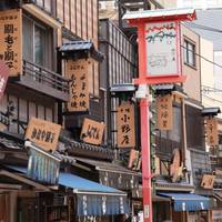 Unverzichtbar Japan Reise-Foto #2