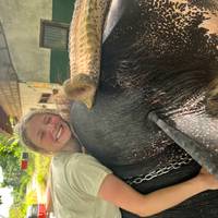 Photo de voyageur Éléphant au Sri Lanka #1