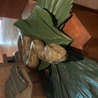 Darwin, Kakadu National Park & Katherine Gorge 7 Tage Reise-Foto #2