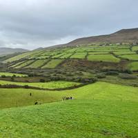 Quer durch Irlands Südwesten ab Dublin - 5 Tage (Kleingruppenreise) Reise-Foto #1