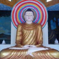 Sri Lanka Solo Journey Group traveler photo #2