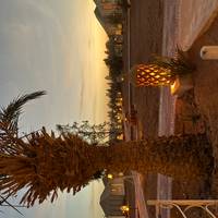 Photo de voyageur 4 jours / 3 nuits au Sahara #2